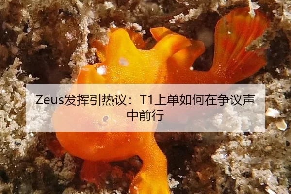 Zeus发挥引热议：T1上单如何在争议声中前行